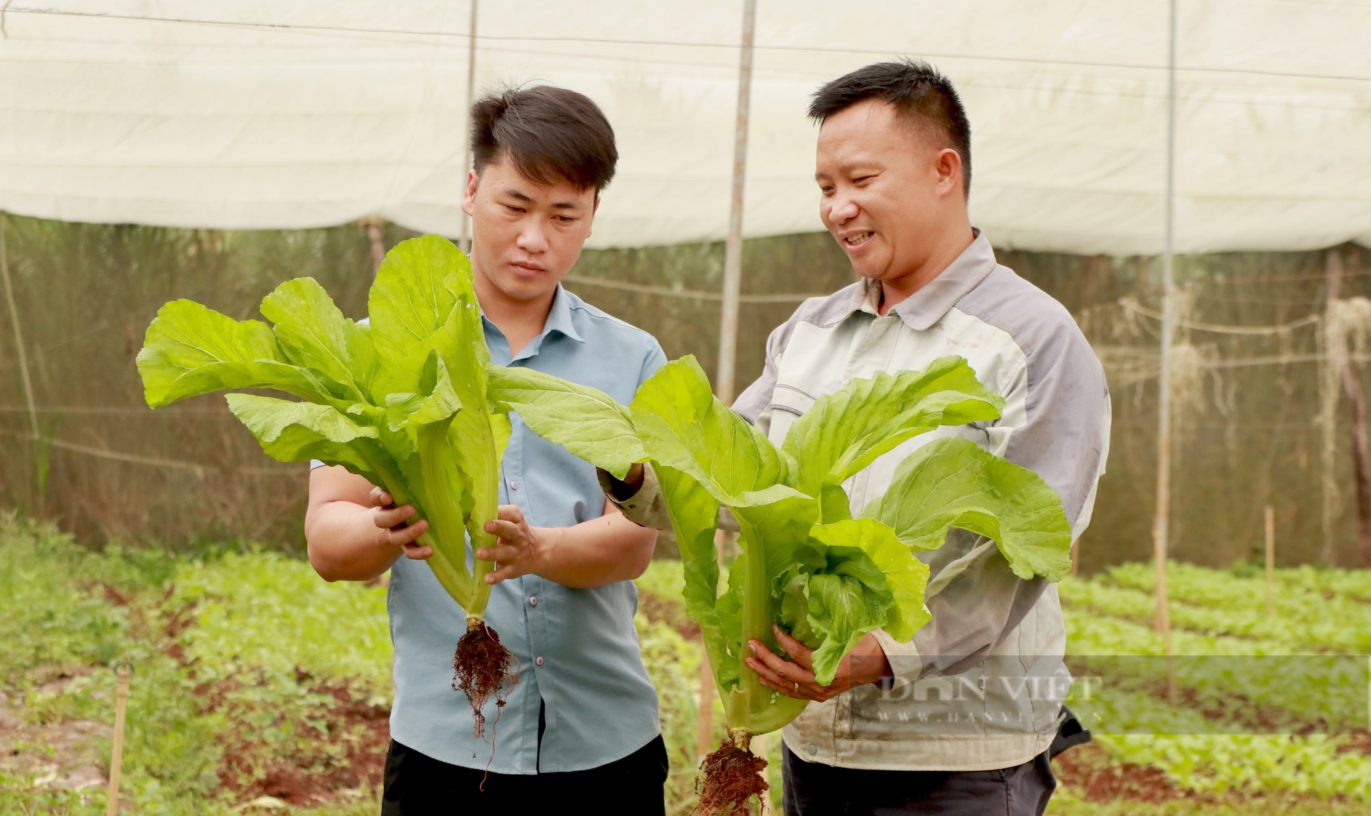 Sau Hội nghị Thủ tướng đối thoại với Nông dân: Dồn lực cho phát triển kinh tế tập thể - Ảnh 4.